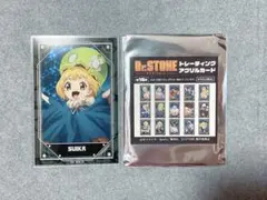 Dr.STONE ドクターストーン　とレーディングアクリルカード スイカ