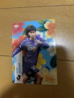 2025年最新】サンフレッチェ広島 グッズの人気アイテム - メルカリ