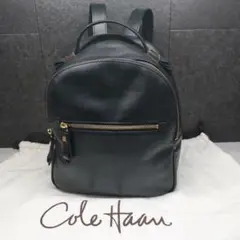 美品 コールハーン COLE HAAN 本革 バックパック 黒 2WAY