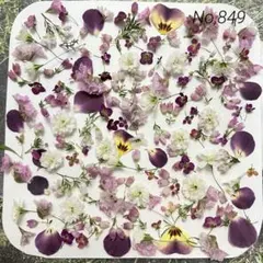 No,849 特小小花ミックス　ドライフラワー花材