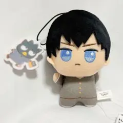 カグラバチ ぬいぐるみマスコット GIGO限 柴登吾 - メルカリ