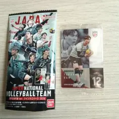 バレーボール日本代表 高橋藍 カード