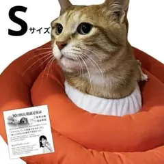 ⭐️エリザベスカラー 子猫 子犬 ソフト 引っ掻き防止 オレンジ 調整可能 S