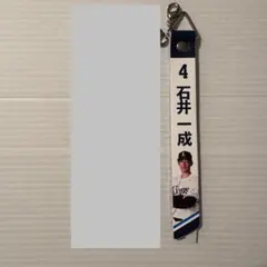 【ティエリア様専用】