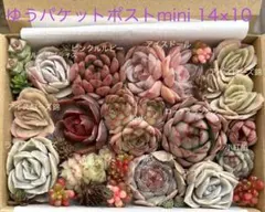 2026年最新】ラブリーローズの人気アイテム - メルカリ