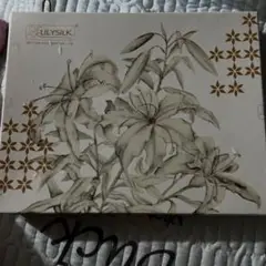 LILYSILK 花柄パッケージ マスク10枚セット