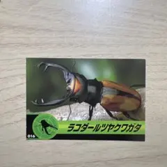 昆虫王者ムシキング ラコダールツヤクワガタ 스티커