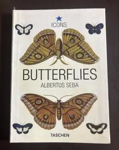 【洋書】BUTTERFLIES 図解　蛾　蝶　昆虫
