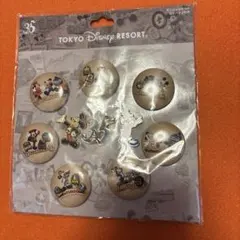 東京ディズニーリゾート35周年缶バッジセット・ピンバッジ付き