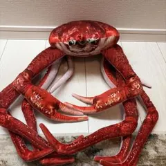 ゴーファ 海の生き物 ぬいぐるみ ブルータコ コストコ - メルカリ