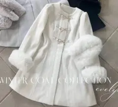 2025年最新】evelyn コート ビットの人気アイテム - メルカリ