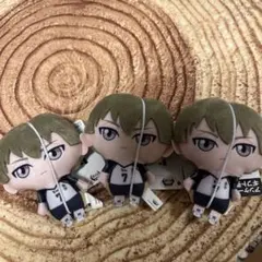 ハイキュー　ぬいぐるみちゃーむ　木葉秋紀　マスコット