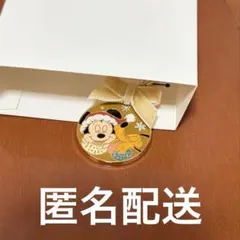 ディズニー　クリスマス　2025 シークレット　チャーム　ミッキー　プルート