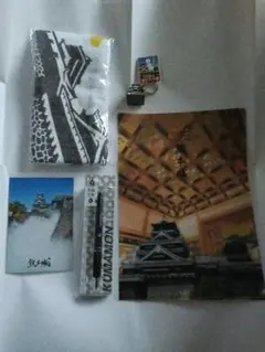 Item thumbnail for item 72114bc8-af8f-4511-b230-ff98f491bc70