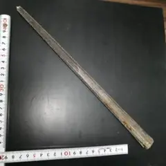 バショウカジキ　吻棘　乾燥標本　A4