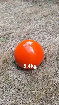 ソフト砲丸　5.4kg(12ポンド)　新品未使用　屋外　屋内
