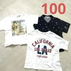 Item thumbnail for item e9121c83-7e2b-4d0a-856c-77987723f1cc