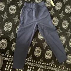 Item thumbnail for item 4090e2e4-10ea-476b-b3df-b13db1fbc09a