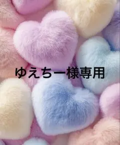 ゆえちー様専用✦青木美沙子ニナス*袖レースリブニットプルオーバー新品*