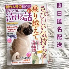 最新刊〈9/19発売〉 ほんとうに泣ける話 11月号 レディースコミック