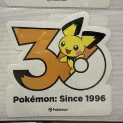 ろ*る様 【韓国限定】ポケモン ソンス ピカチュウ ピチュー セット
