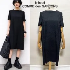 トリコ コムデギャルソン 総刺繍 花柄 レース 変形 ワンピース ブラック S