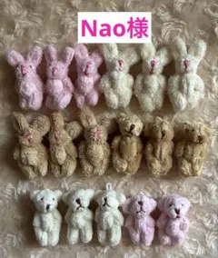 Nao様用セット