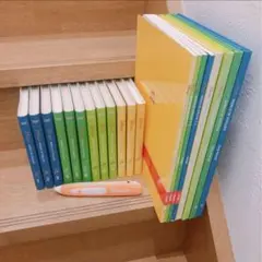 DWE シングアロング　DVD 絵本　ガイドブック　　　　タッチペン