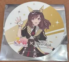 ウマ娘　ノーザンホースパーク　ブエナビスタ　コースター