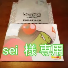 sei様専用 入場者プレゼント