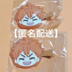 日向翔陽 ハイキュー!! みにコレ 前髪クリップ