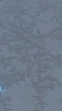 Item thumbnail for item a3cb9cfd-6d56-4fd4-8137-0becdf17a274