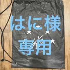 ストレイキッズアプグレグッズ