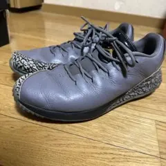 ナイキ ジョーダン ゴルフ ADG グレー 26.5 ナイキ ジョーダン ゴルフ ADG ブルー 26.5 涼しげな新色」がゴルフ場