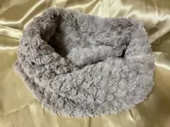 Item thumbnail for item 808629ab-445e-47ba-96cd-add41ce3ce33