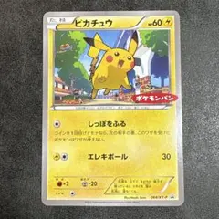 ピカチュウ PROMO XYシリーズプロモーションカード ポケモンパン