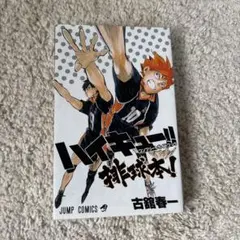 ハイキュー！！コンプリートガイドブック 排球本！