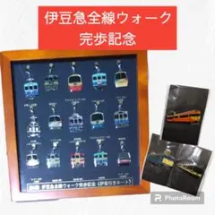 伊豆急】第3回伊豆急全線ウォーク完歩記念 ピンバッジ額装 - メルカリ