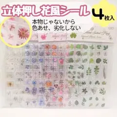 Item thumbnail for item 5e396d27-c1cb-49fb-b90b-fb7c4da0b102