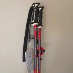 SINANO スキー ストック 100cm レッド　カーボンコンポジット　シナノ