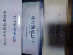 【12月末まで】ヤマダデンキ　株主優待券 5,000円分