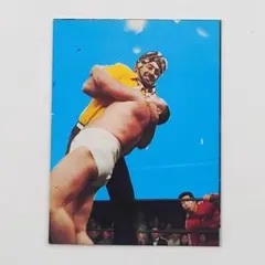 2025年最新】タイガージェット シンの人気アイテム - メルカリ