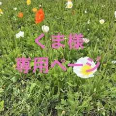 Item thumbnail for item dbe35507-4ec5-45a8-a18f-5776d6a948bd