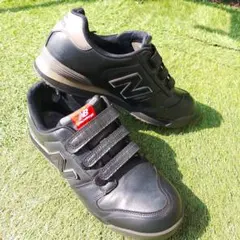 Item thumbnail for item 00a49022-43ad-44dd-8fdc-308646f1d987