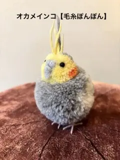 2025年最新】あみぐるみ文鳥の人気アイテム - メルカリ V67