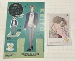 多聞くん今どっち！？ 橘敬人 アニメイト特典 ペーパーフィギュア チェキカード②