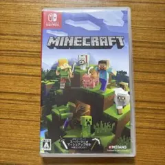 Minecraft マイクラ　Nintendo Switch