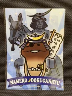 なめこ栽培キット クリアファイル 全国MAP 独眼竜