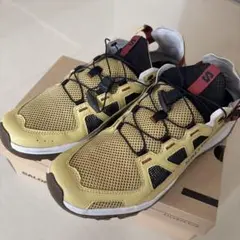 Salomon テックアンフィビアン5