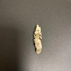 Item thumbnail for item e2e5755f-b57a-49fd-8dec-851827108cf6